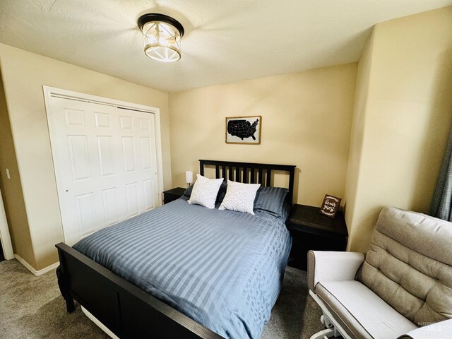 2624 4th Ave, Twin Falls, ID 83301 - carpeted bedroom with a closet