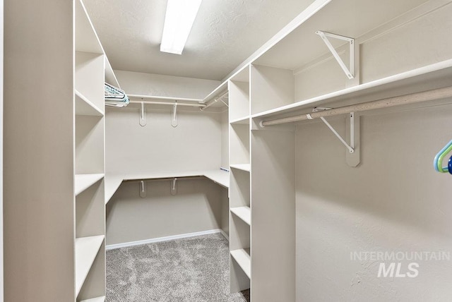 720 E Main St, Jerome, ID 83338 - walk in closet featuring carpet floors