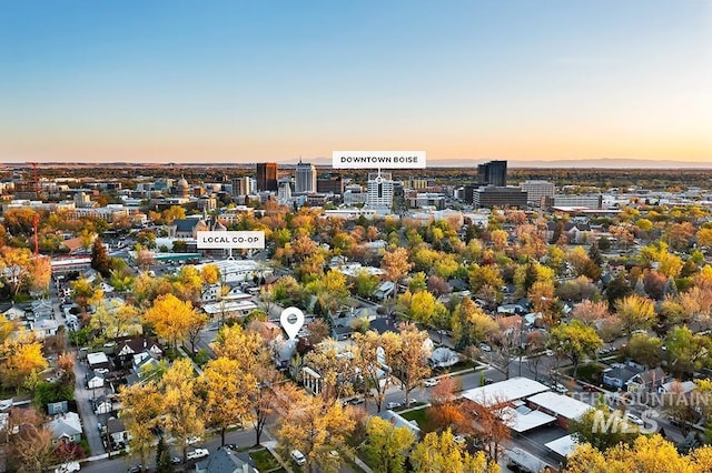 bird's eye view