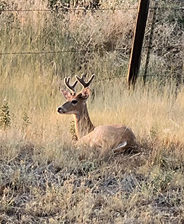 TBD Clear Creek Rd, Kooskia ID, 83539 land for sale