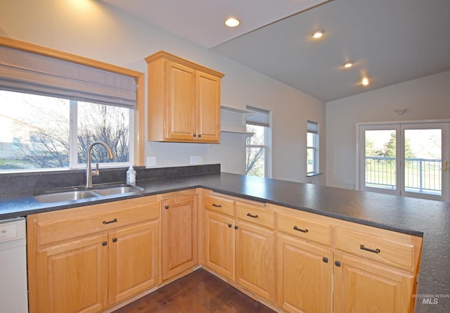 kitchen with white dishwasher, sink, kitchen peninsula, and a healthy amount of sunlight