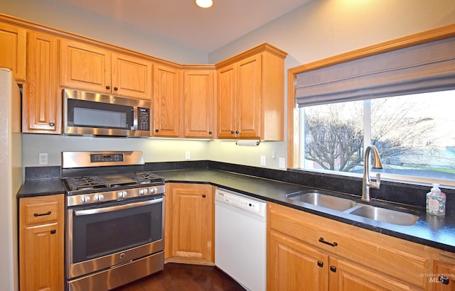 kitchen featuring sink, dark hardwood / wood-style floors, and stainless steel appliances