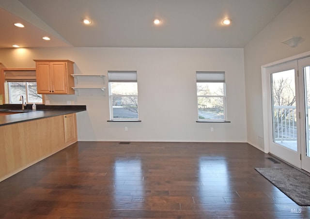 kitchen with sink, light brown cabinetry, and dark wood-type flooring