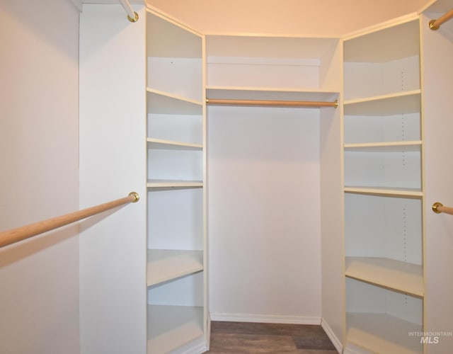 walk in closet featuring dark hardwood / wood-style flooring