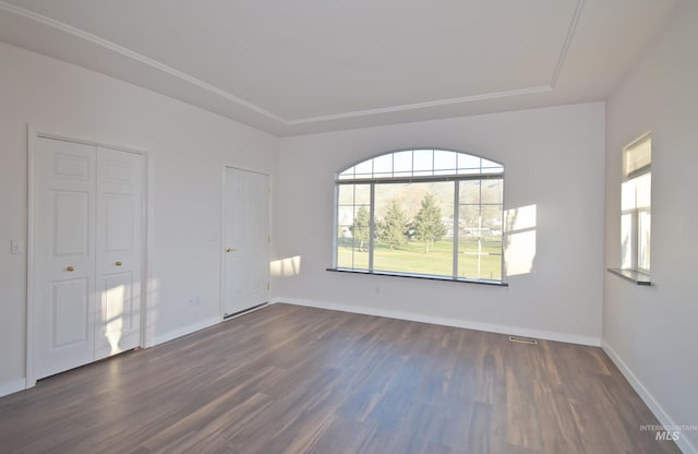 unfurnished room featuring dark wood-type flooring