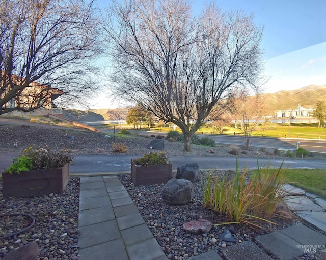 view of yard featuring a mountain view