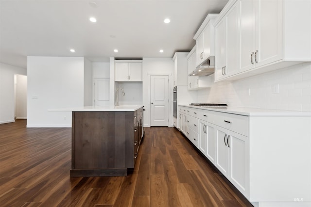 kitchen with tasteful backsplash, under cabinet range hood, an island with sink, light countertops, and recessed lighting