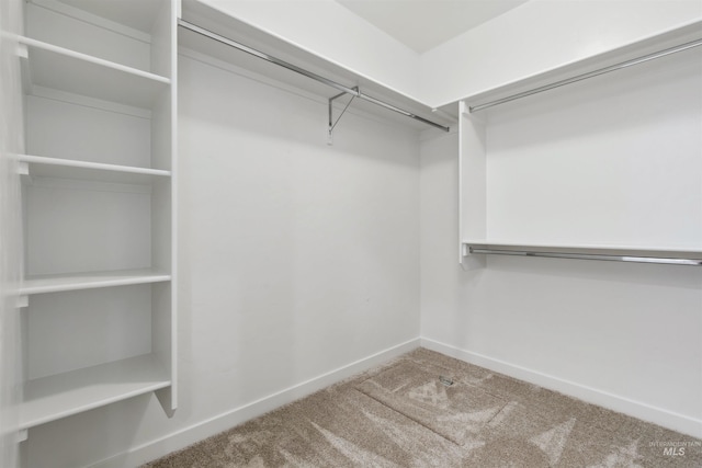 walk in closet with carpet flooring