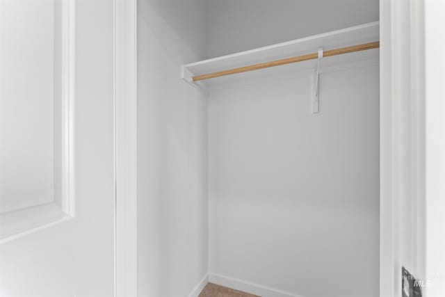 690 N Tessa Ave, Meridian, ID 83642 - view of closet