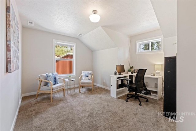 carpeted home office with plenty of natural light, a textured ceiling, vaulted ceiling, and baseboards