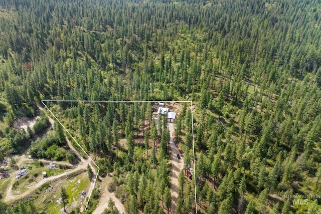 aerial view of property's location featuring a forest and property parcel outlined
