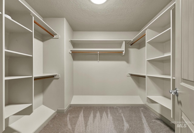 spacious closet featuring carpet floors