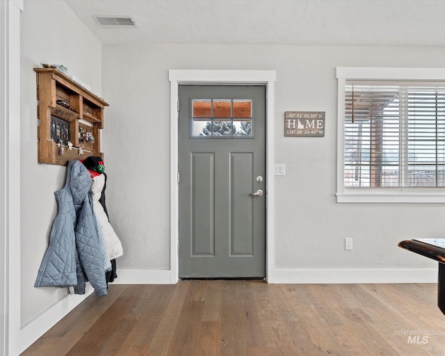 entrance foyer featuring wood-type flooring