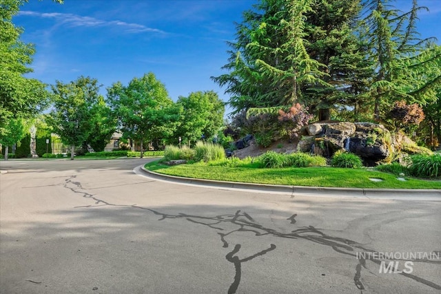 356 E Lake Briar Ln, Eagle, ID 83616 - view of asphalt road featuring curbs