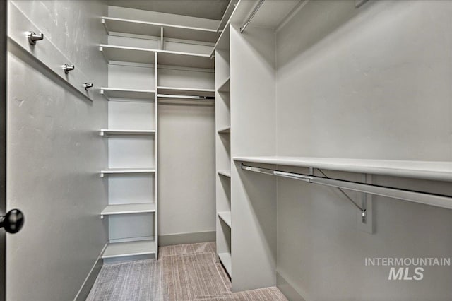2128 N Woodcreek St, Boise, ID 83704 - spacious closet with carpet