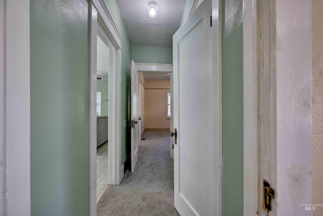 412 6th Ave N, Twin Falls, ID 83301 - hall featuring carpet flooring and baseboards