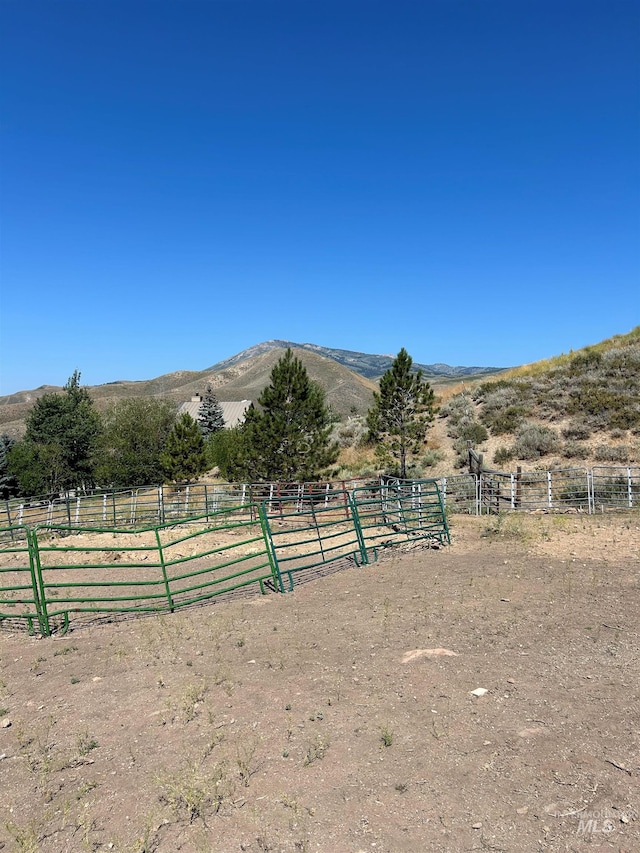 view of yard featuring a mountain view and a rural view