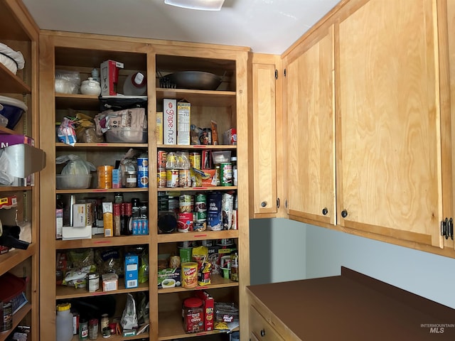 view of pantry