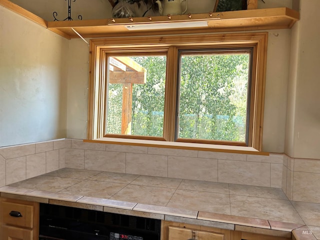 kitchen with dishwasher and tile counters