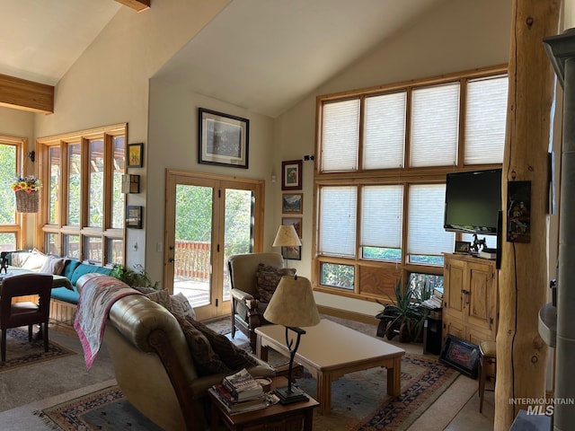 carpeted living room featuring high vaulted ceiling