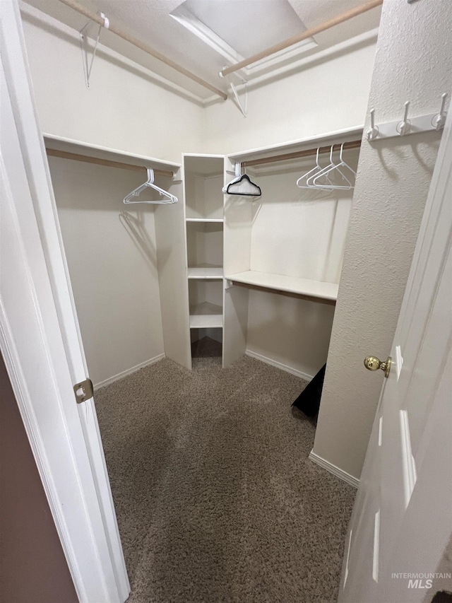 walk in closet featuring carpet floors