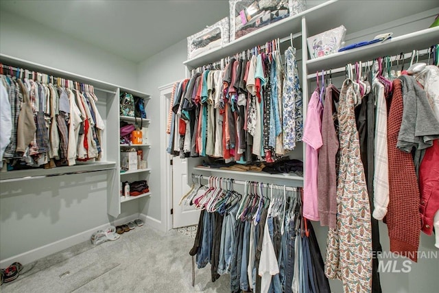 walk in closet featuring carpet flooring