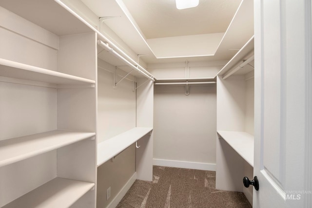 spacious closet with dark carpet