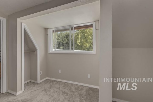 4610 Power Rd, Ontario, OR 97914 - additional living space with carpet and baseboards