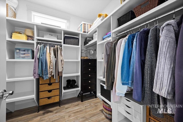 spacious closet with wood finished floors