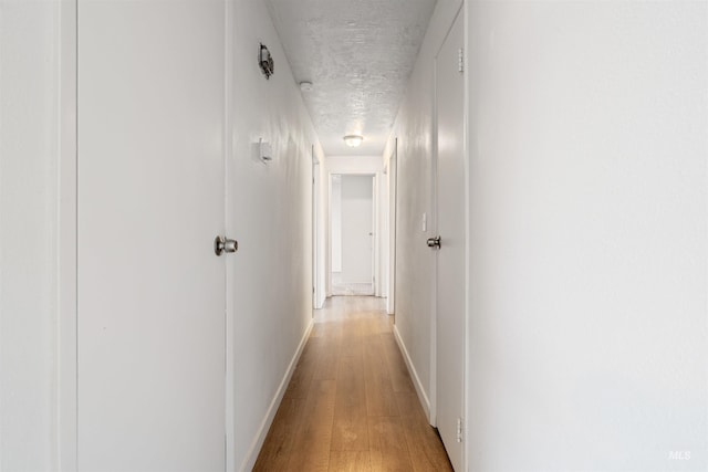 hall with light hardwood / wood-style flooring