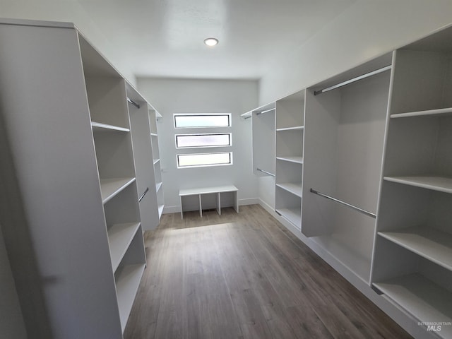 531 Full Moon Way, Twin Falls, ID 83301 - spacious closet with dark wood-style floors
