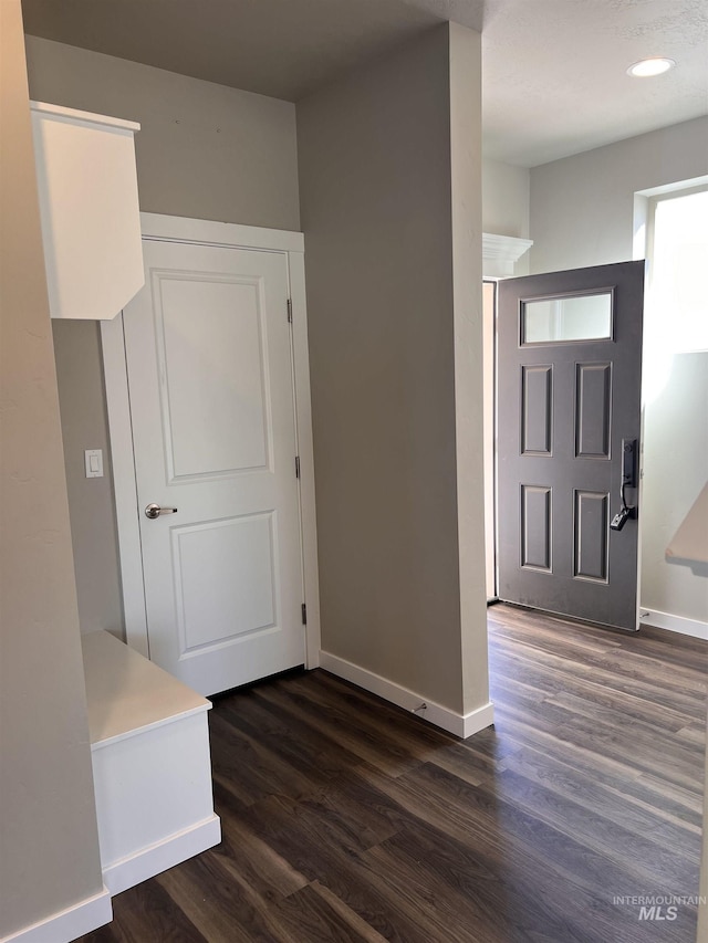 foyer entrance featuring dark wood-type flooring