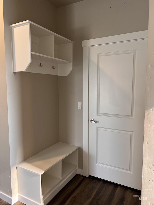 mudroom with dark wood-type flooring