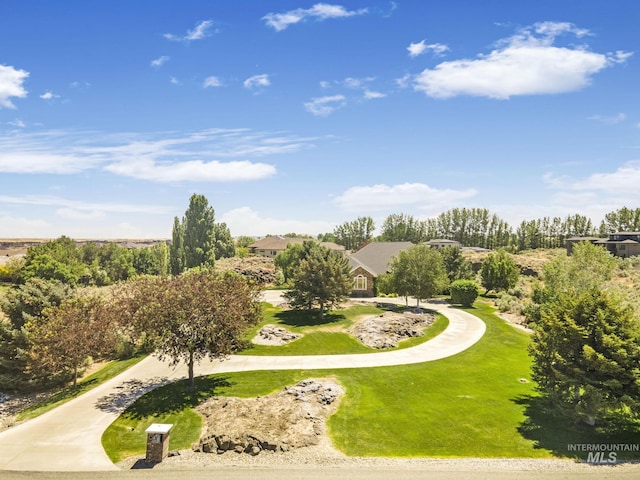 view of community featuring a yard