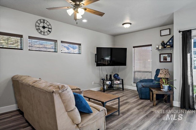 living room with ceiling fan and hardwood / wood-style flooring