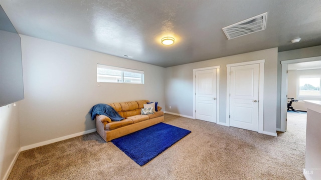 133 S Baraya Way, Meridian, ID 83642 - living area featuring carpet and baseboards