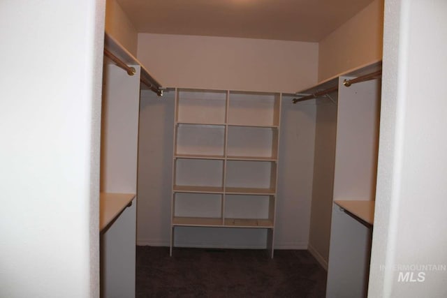 spacious closet featuring carpet floors