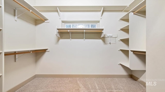 1563 W Colville Ct, Eagle, ID 83616 - walk in closet featuring carpet floors