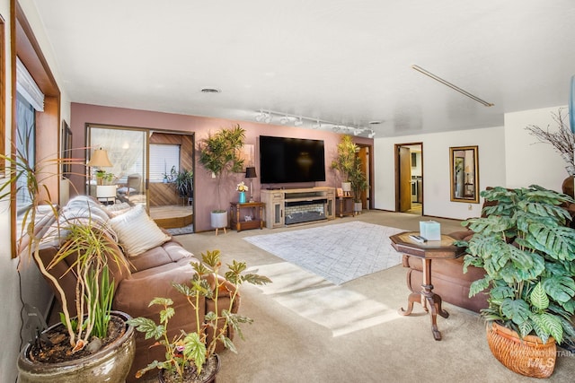 carpeted living area featuring rail lighting and a fireplace
