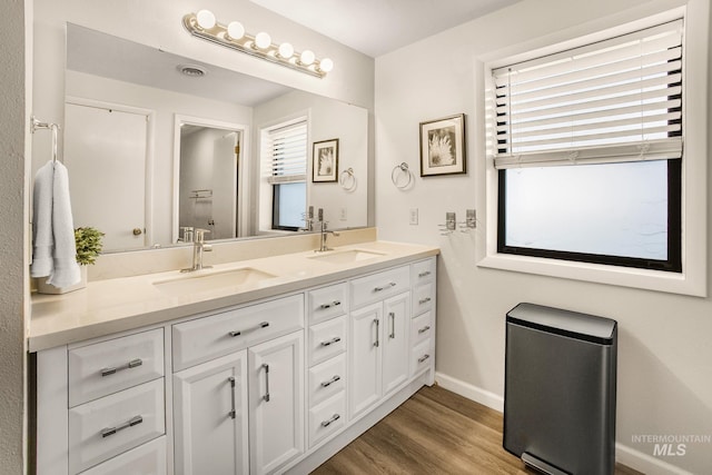 bathroom with baseboards, a sink, wood finished floors, and double vanity