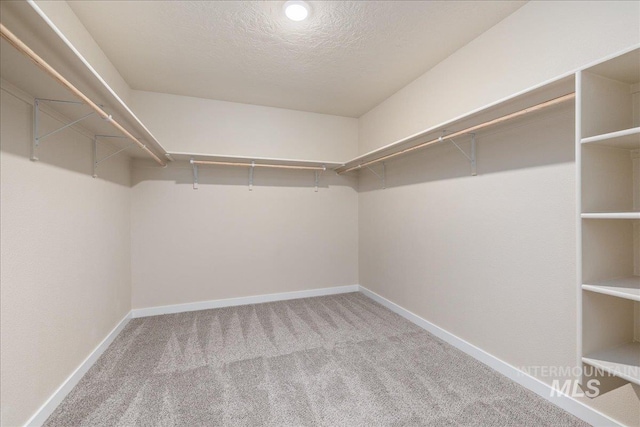 19118 Ralston Way, Caldwell, ID 83605 - spacious closet featuring carpet flooring