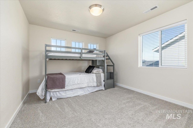 19118 Ralston Way, Caldwell, ID 83605 - carpeted bedroom featuring multiple windows