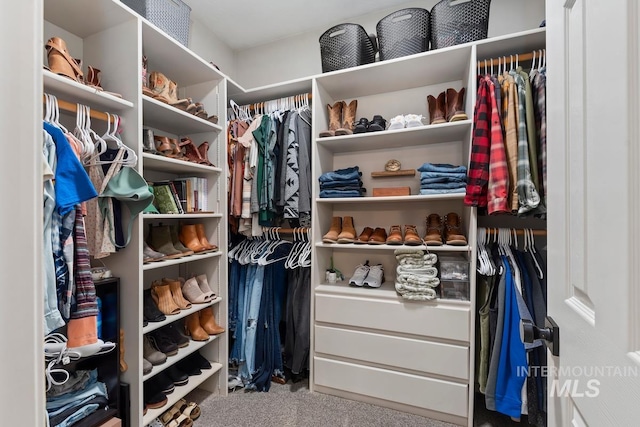 walk in closet with carpet flooring