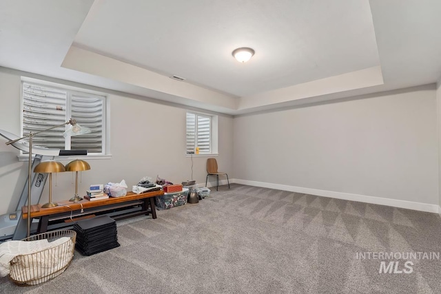 miscellaneous room featuring carpet and a raised ceiling