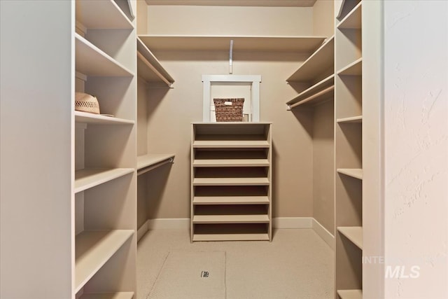 view of spacious closet