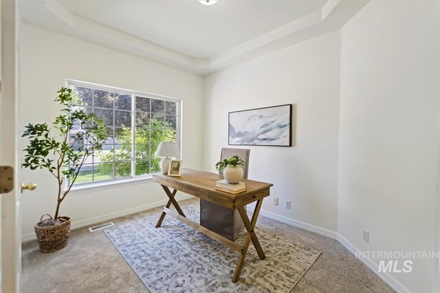 home office with light colored carpet, baseboards, and a tray ceiling