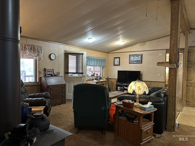 46 Aspen Way, Lowman, ID 83637 - living room with carpet floors, vaulted ceiling, and wooden walls