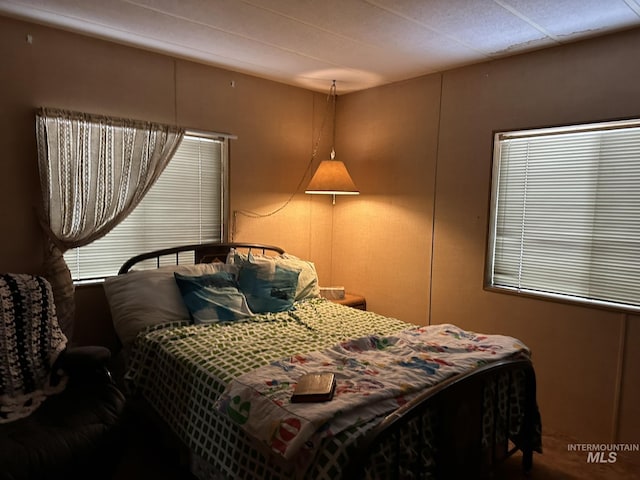 46 Aspen Way, Lowman, ID 83637 - view of bedroom