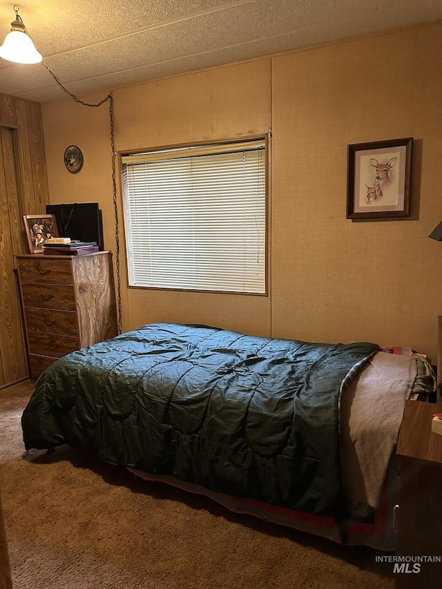 46 Aspen Way, Lowman, ID 83637 - bedroom featuring carpet flooring