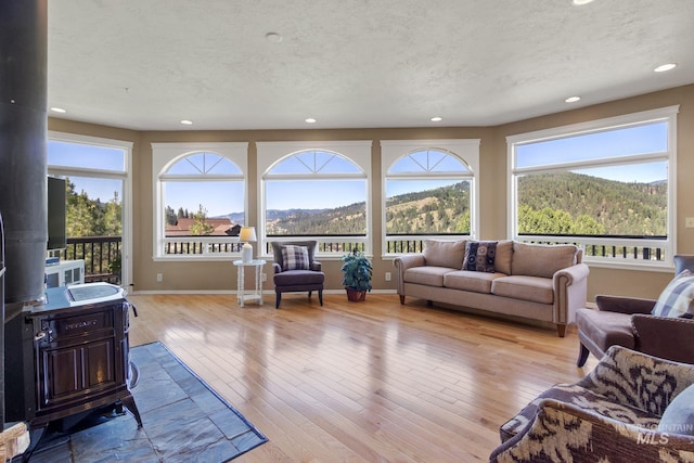 living room featuring baseboards, hardwood / wood-style flooring, a wood stove, a textured ceiling, and recessed lighting